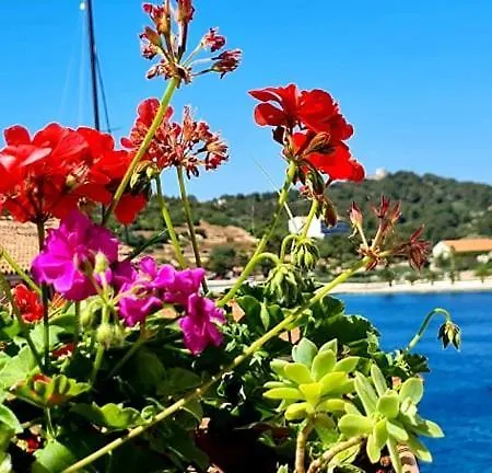 Dionis Couette-café