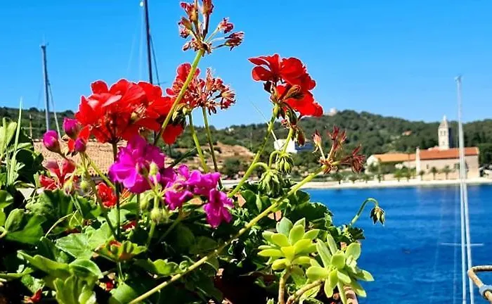 Dionis לינה וארוחת בוקר