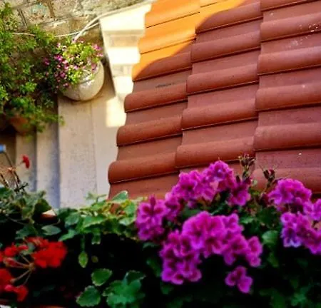 Dionis Bed & Breakfast 3*